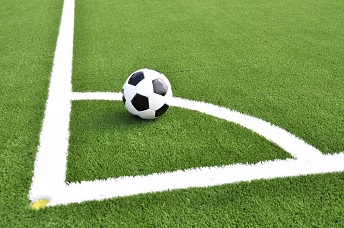 歐盟提議限製人造草坪環芳烴(EC)1907/2006